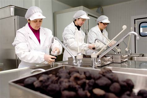 What is a Truffle? The black diamonds from Sarrion, Spanish capital of ...
