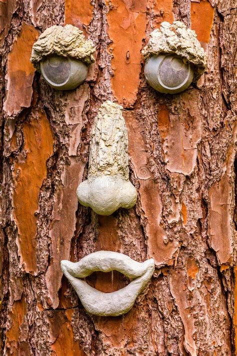 Image result for Minecraft Tree Face