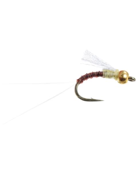 Image result for Magic String Fly