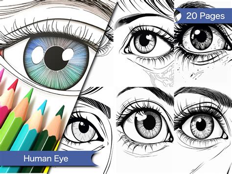 Human Eye Coloring Page