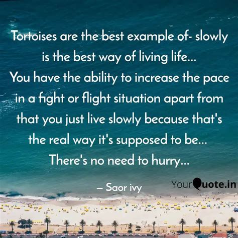 Tortoises are the best ex... | Quotes & Writings by VANSHIKA KAR ...