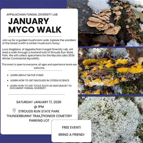 January Myco Walk, Strouds Run State Park, Athens, 17 January 2026 ...