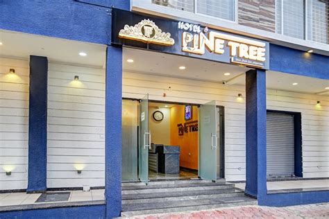 Townhouse Pine Tree, Townhouse Indore, Book @ ₹1370 - OYO