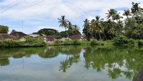 Mattancherry Palace And Its Detailed Guide To Explore In 2026