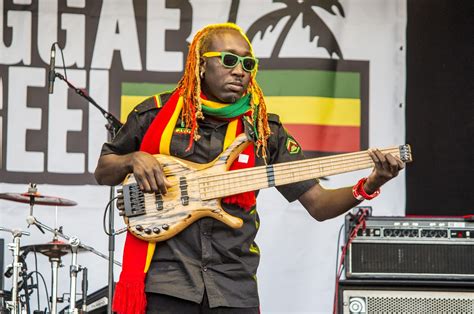 Reggae 的图像结果