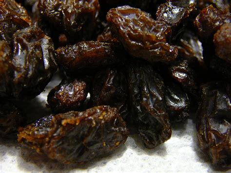 Can Dogs Eat Raisins? | POPSUGAR Pets
