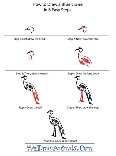 Draw a three link food chain for the blue crane - Brainly.in