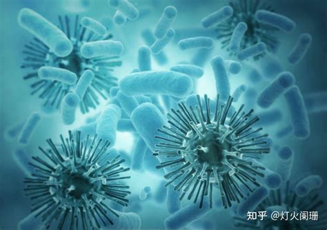 病毒感冒VS细菌感冒傻傻分不清？看这7张图就够了！|感冒|病毒性感冒|细菌性_新浪新闻