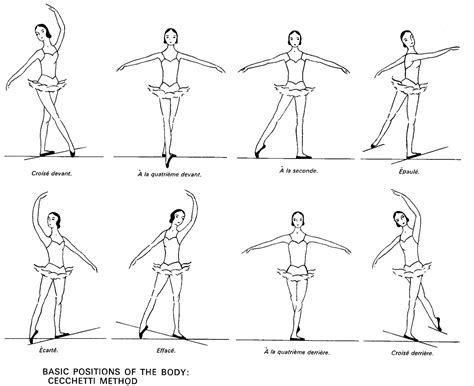 Dance With Your Heart: 8 Ballet Positions of the Body