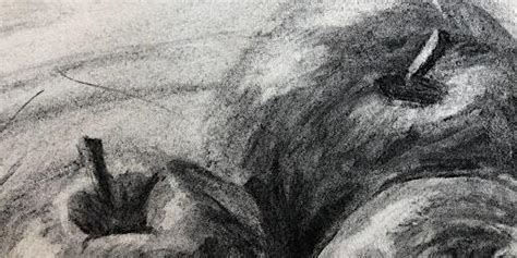 Introduction to Drawing Short Course | Hereford College of Arts ...