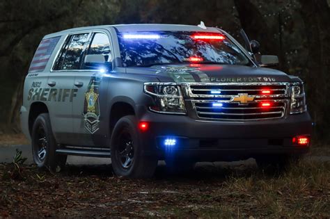 Harley Is Newest Member Of Pasco Sheriff's K-9 Unit | New Port Richey ...