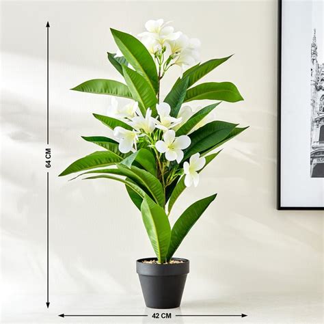 Buy Gardenia Plumeria Artificial Magnolia Flowers in Pot from Home ...