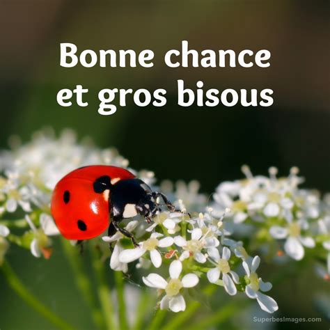 Bonne Chance Dessin | Symbole Chance À Imprimer – BEKW