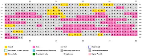 Computational Assessment of Botrytis cinerea Lipase for Biofuel Production