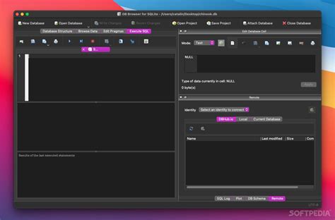 Image result for SQLite DB Browser