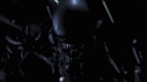 Image result for Alien Isolation Mental Fox 51