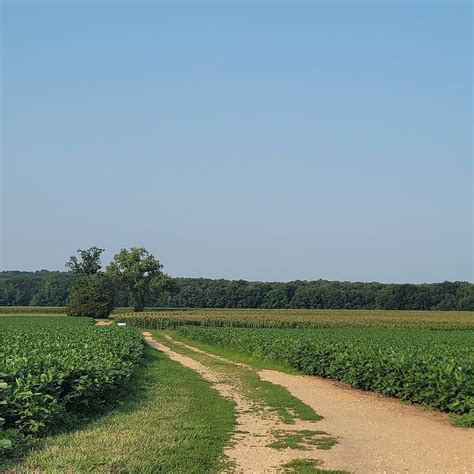 SLAUGHTER PEN FARM BATTLEFIELD TRAIL (2026) All You Need to Know BEFORE ...