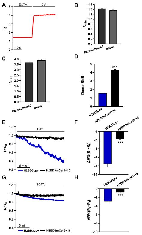 Generation and Characterization of a New FRET-Based Ca2+ Sensor ...