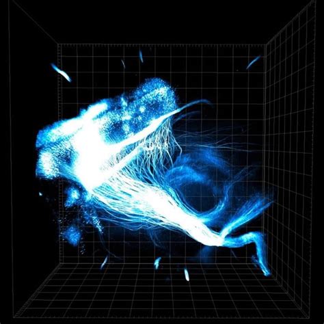 Image result for Prefrontal Cortex Mouse Brain