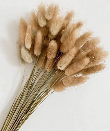 VRB Dec 50 Pcs Set 17inch Natural Dried Pampas Grass,Real Rabbit Bunny ...