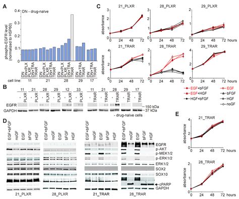 Dissecting Mechanisms of Melanoma Resistance to BRAF and MEK Inhibitors ...