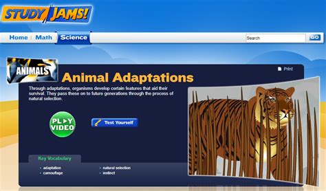 Image result for 11 Study of Animal Jr Tutorial