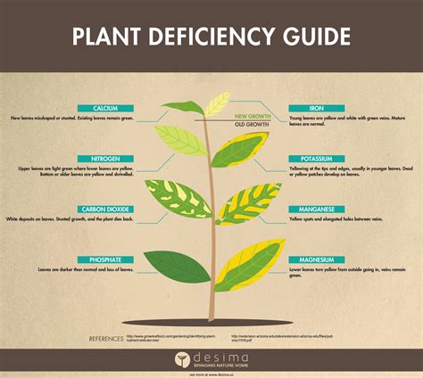 Identification Guide: Nutrient Deficiencies – RFUE