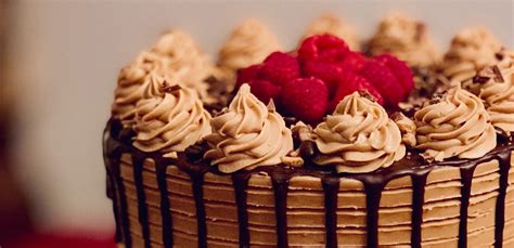food cake products and reviews yahoo health page 2 PNG