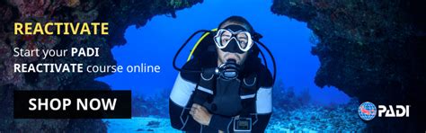 PADI Dive Courses - Papua Diving