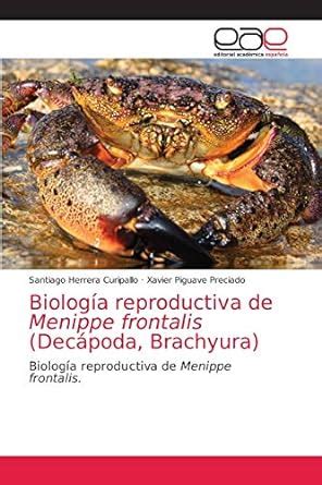 Buy Biología reproductiva de Menippe frontalis (Decápoda, Brachyura ...
