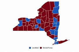Image result for NYS Election Results Map