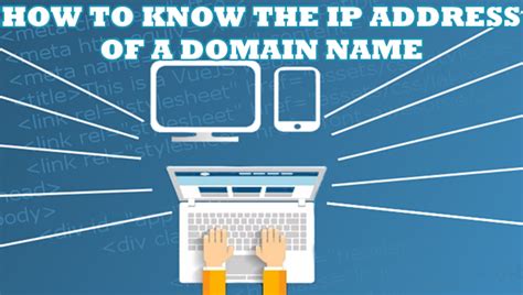 Image result for Find Domain Name IP Address