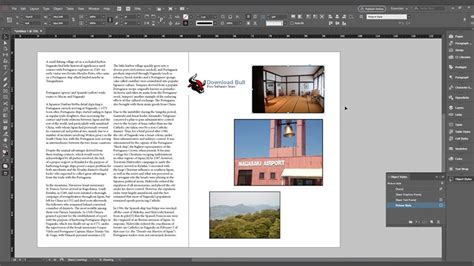 Adobe InDesign Use 的图像结果