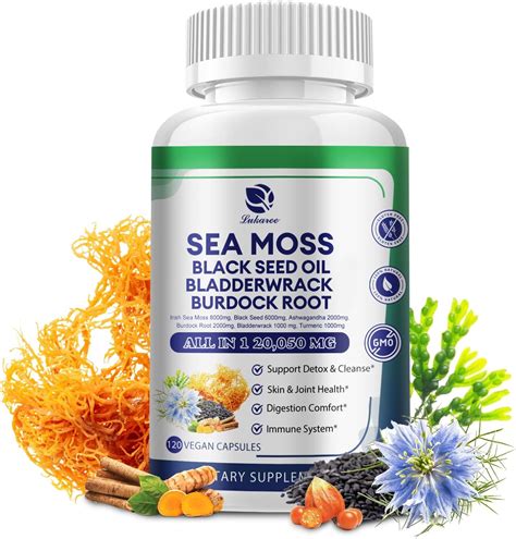 Amazon.com: Sea Moss Black Seed Oil Ashwagandha Ginger - Advanced Irish Sea Moss Capsules All in ...