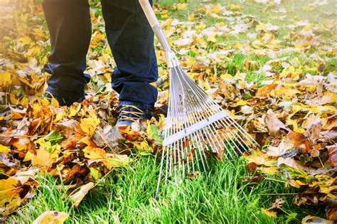 Fall Fertilizer Programs for Your Lawn - Carolina Fresh Farms