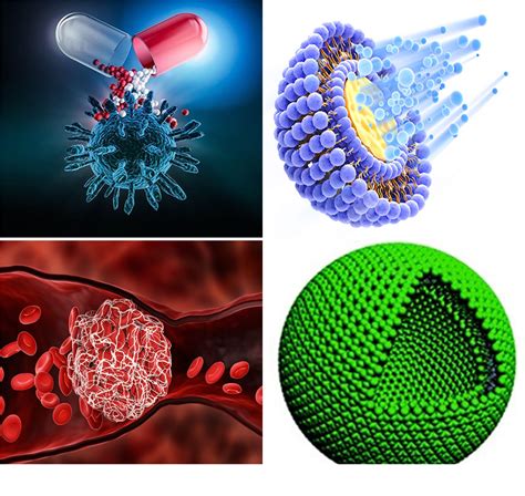 Marine Elements and Marine Environment | CSIR-CSMCRI Bhavnagar