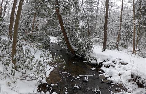 Winter Safety on PA State Forest Roads - The Unpaved Hub