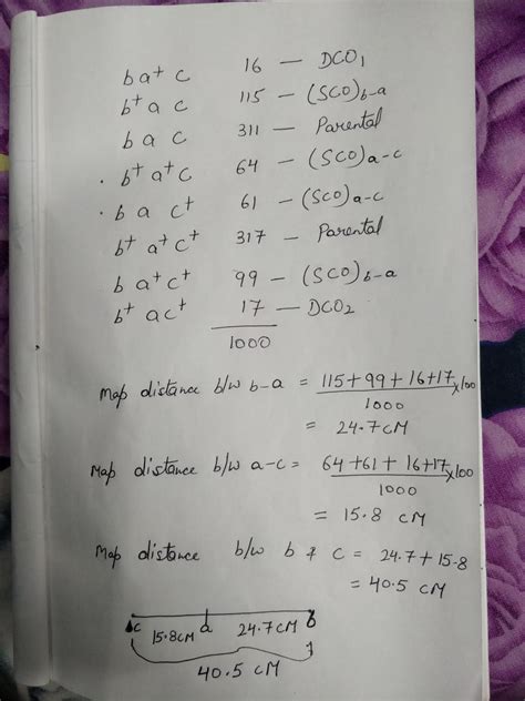 A genetic cross was made between homozygous wild-type males (a abbec ...