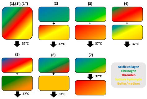 Type I Collagen-Fibrin Mixed Hydrogels: Preparation, Properties and ...