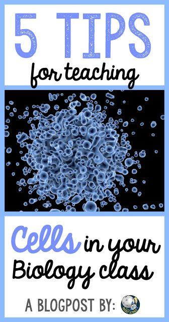 Tutorials for Cells 的图像结果