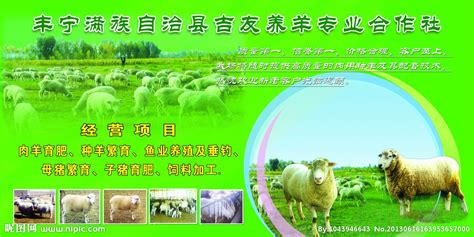 畜牧养殖-北京天力宏泰科技发展有限公司