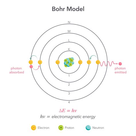 Bohr model physics chemistry atom vector illustration diagram | Premium ...