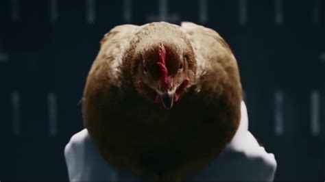 The Day Mercedes-Benz Used Chickens to Demonstrate Magic Body Control Was Epic - autoevolution