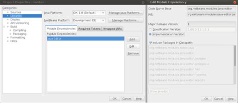 Image result for Java Netbeans API