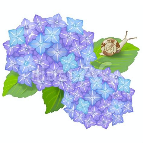 Image result for Problem Tree Tool