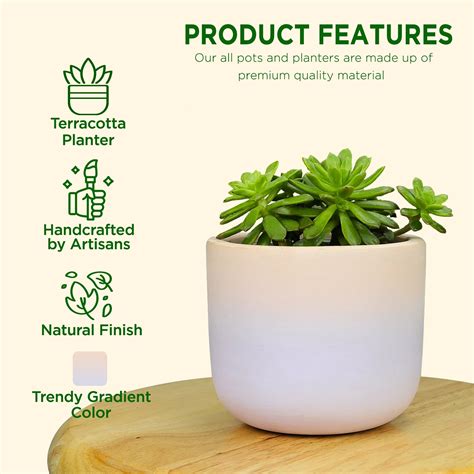 Gala Gradient Terracotta Pot