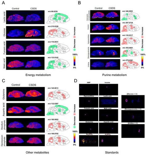 Desorption Electrospray Ionization Mass Spectrometry Imaging Techniques ...