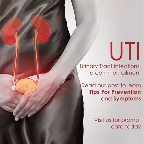 How to prevent urinary tract infections (UTIs) | The Doctors' Office Urgent Care NJ posted on ...