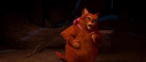 Cats Tees 的图像结果