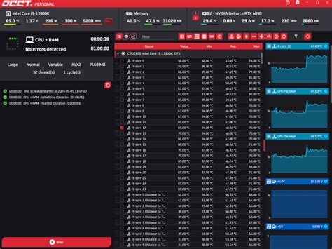 Video Memory Test 的图像结果